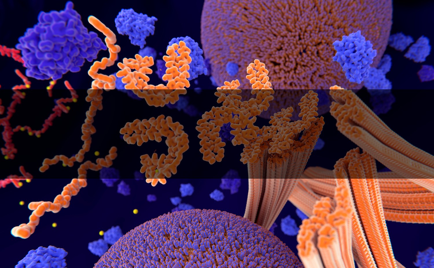 Tau oligomers in neurons